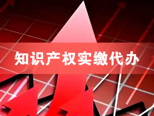 禹城知识产权实缴资本代办